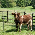 Farm Montville Duchek 5673